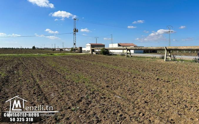 Terrain Agricole à vendre à Chorfech, Sidi Thabet