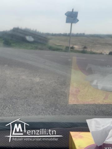 Terrain Exceptionnel à Vendre