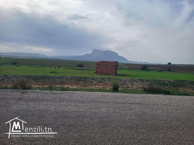 Terrain Exceptionnel à Vendre