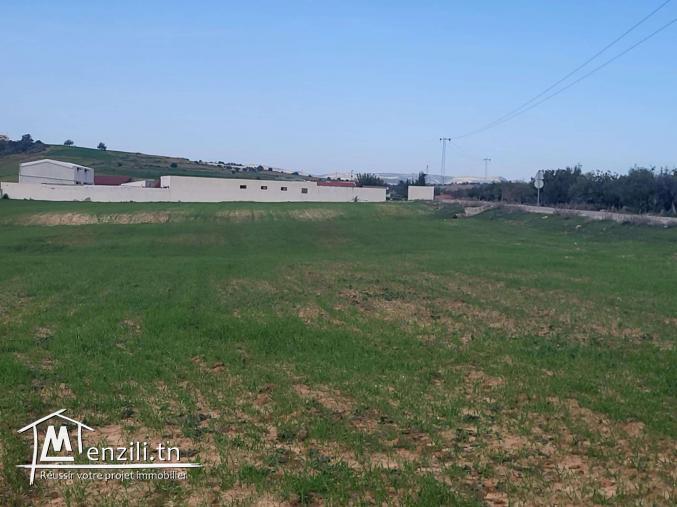 Terrain Exceptionnel à Vendre