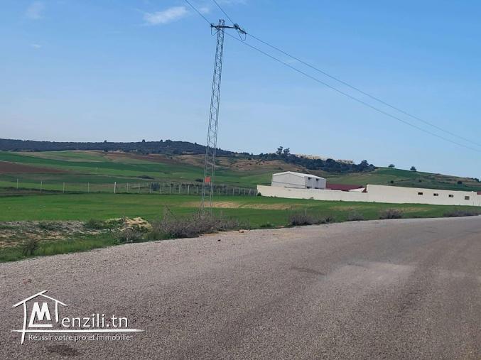 Terrain Exceptionnel à Vendre