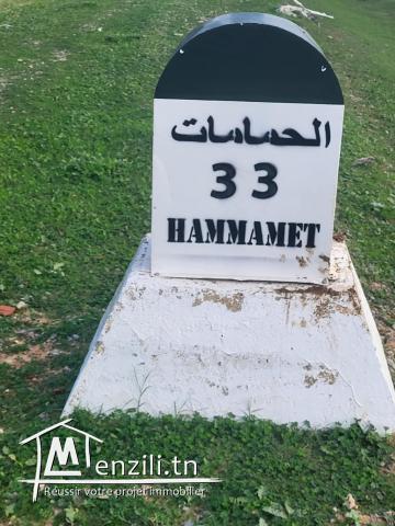 Terrain Exceptionnel à Vendre