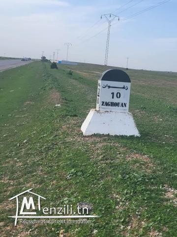 Terrain Exceptionnel à Vendre