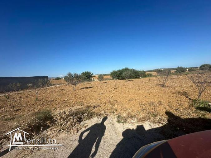 T223 Terrain REVE HAMMAMET DOUIKHLA