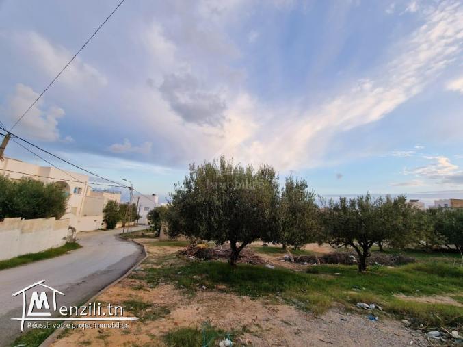 Terrain clôturé de 1122 m² à vendre à Hammamet Nord 51355351