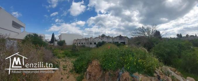 Terrain de 400 m² à vendre à Hammamet Zone théâtre 51355351