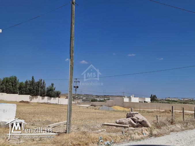 أرض صبغة سكنية للبيع في الحمامات الجنوبية 51355351