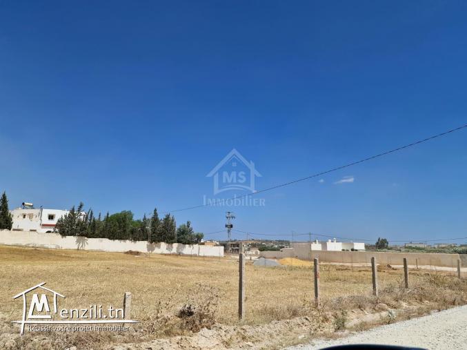 أرض صبغة سكنية للبيع في الحمامات الجنوبية 51355351