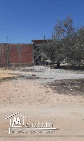 Lot de terrain de 250 m² à Hammamet Sud à vendre 51355351