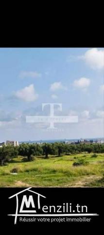 Terrain  de 596 m²  à vendre à chot mariem