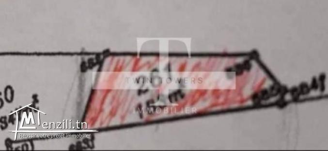 Lot à vendre à hammem sousse
