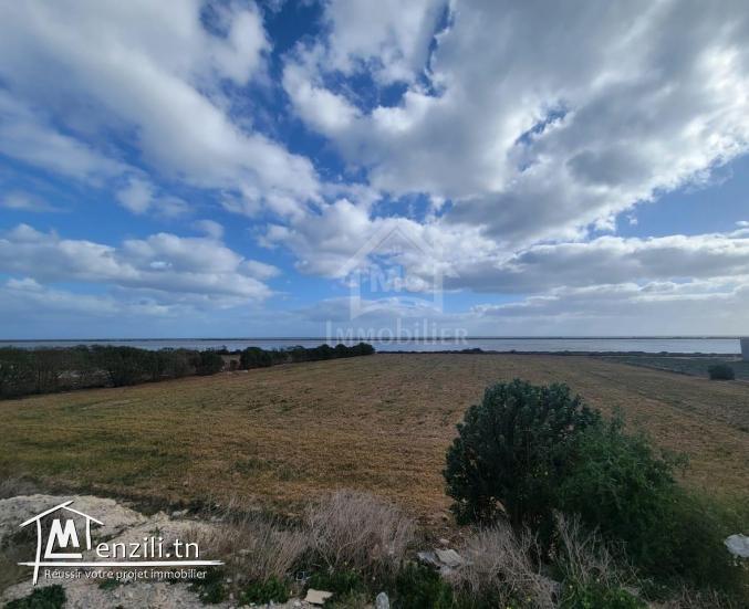 Terrain pieds dans l'eau de 3333 m² à korba à vendre51355351