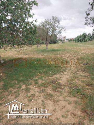 Terrain à vendre à Akouda