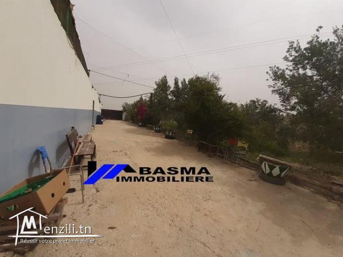 Une senia de 3 hectar à vendre situé à kalaa kbira