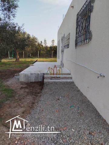 V512 Maison LINA DOUIKHLA