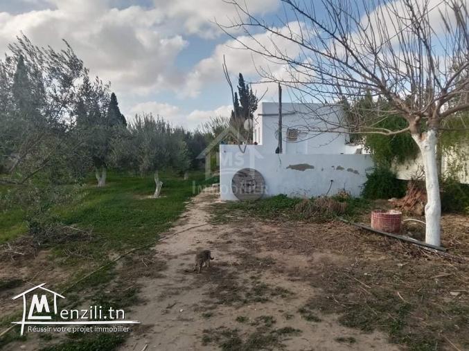 Terrain de 3700 m² à 1.5 km de AFH Mrezga à vendre 51355351