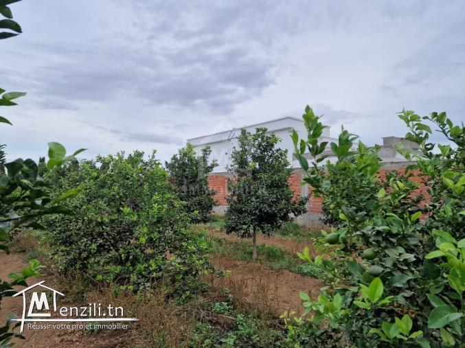 Terrain de 3700 m² à 1.5 km de AFH Mrezga à vendre 51355351