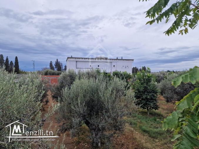 Terrain de 3700 m² à 1.5 km de AFH Mrezga à vendre 51355351