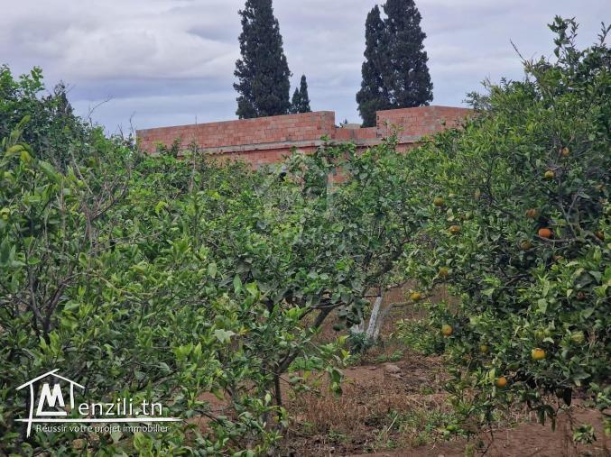 Terrain de 3700 m² à 1.5 km de AFH Mrezga à vendre 51355351