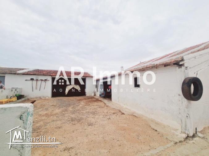 للبيع: ضيعة 6,5 هكتار في البطّان