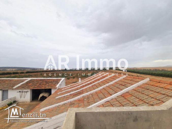 للبيع: ضيعة 6,5 هكتار في البطّان