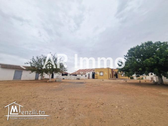 للبيع: ضيعة 6,5 هكتار في البطّان