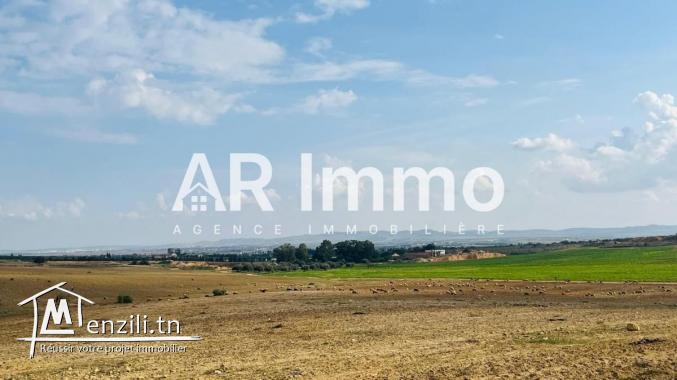 للبيع: مزرعة بمساحة 42.5 هكتار في برج العامري