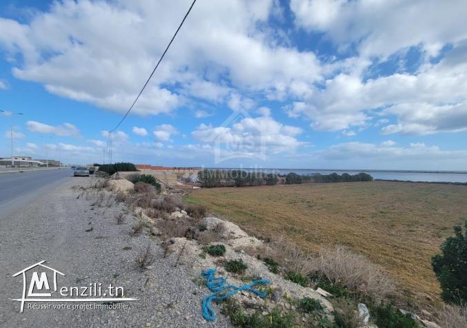 Terrain pieds dans l'eau de 3333 m² à korba à vendre51355351