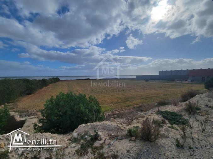 Terrain pieds dans l'eau de 3333 m² à korba à vendre51355351