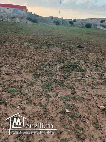 Terrain pieds dans l'eau de 9716 m² à korba à vendre 51355351