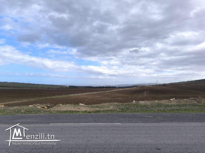 TERRAIN TITRE FONCIER