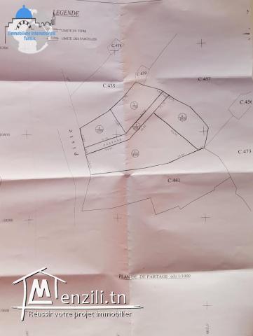 A vendre des lots prés mall of Sousse