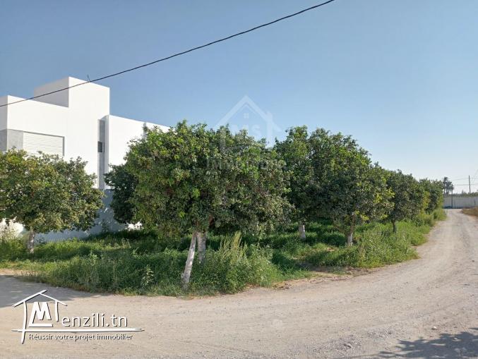 Terrain de 423 m² dans la zone de Sidi Mahressi à vendre 51355351