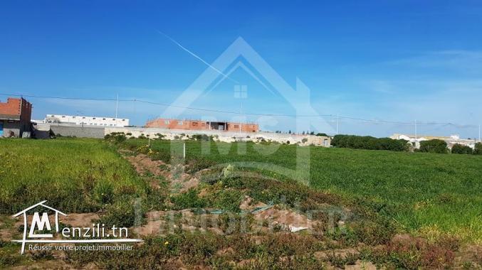 A vendre à Korba, un terrain pieds dans l'eau avec 2 garages 51355351