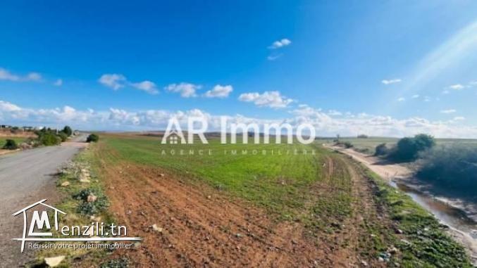 Exclusivité  Terrain de 9 Hectares à Vendre à El Battan