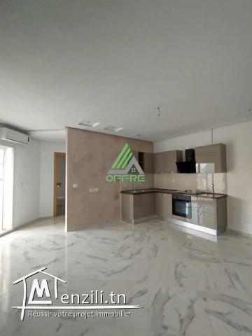 appartement a vendre de type s+1