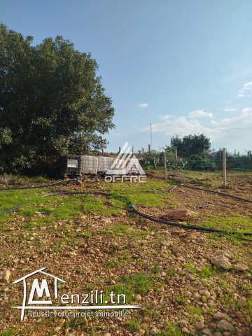 8000M² a vendre chez offre immobiliere