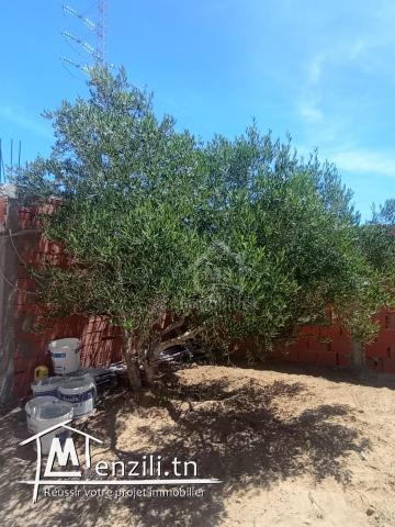 Terrain avec studio à Hammamet Sud à vendre à 85 MD 51355351