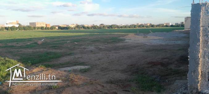 Lot de Terrain à vendre