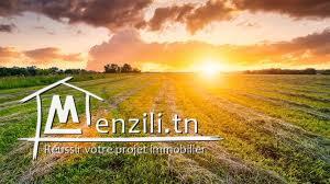 Terrain agricole à Sidi Fraj, Mhamdia (Gouvernorat de Ben Arous)