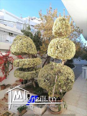 Une villa à vendre situé à sousse ville