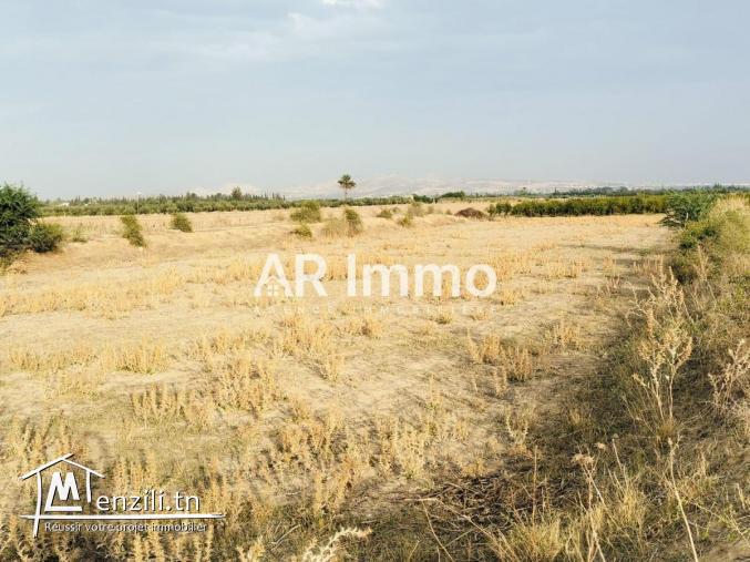 Lots de Terrains à Vendre à Jedaida