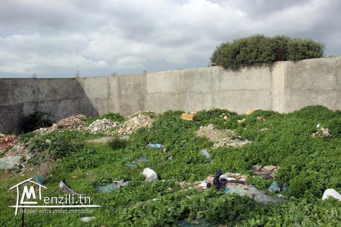 A saisir terrain bord de route