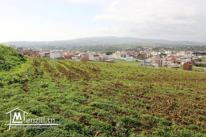 Grand terrain partager en 37 lots