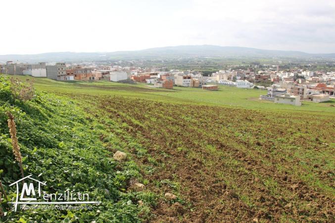 Grand terrain partager en 37 lots