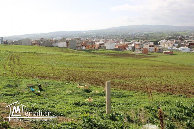 Grand terrain partager en 37 lots