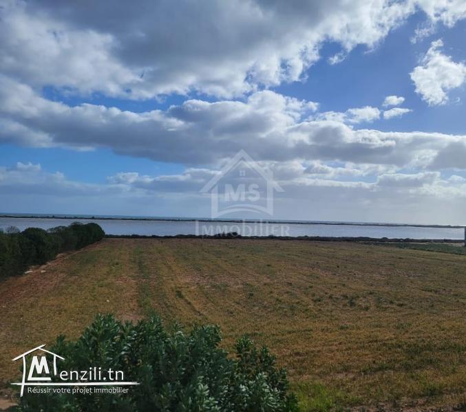 Terrain pieds dans l'eau de 3333 m² à Korba à vendre  51355351