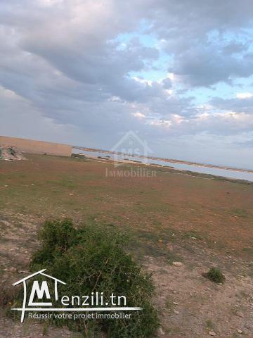 Terrain pieds dans l'eau de 9716 m² à korba à vendre 51355351