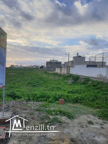 Des terrains à vendre sur la route de Kélibia MC27