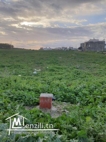 Des terrains à vendre sur la route de Kélibia MC27